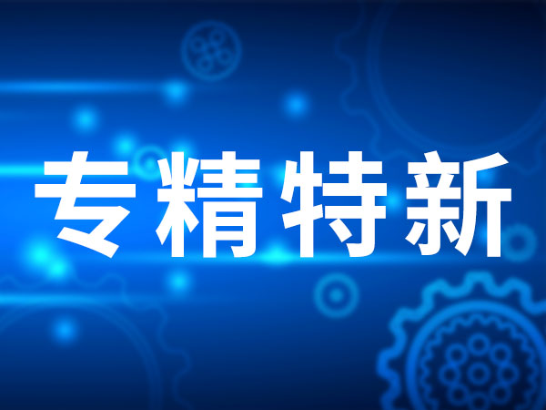 热烈祝贺山东乐玩lewin官网集团通过“专精特新”中小企业认证